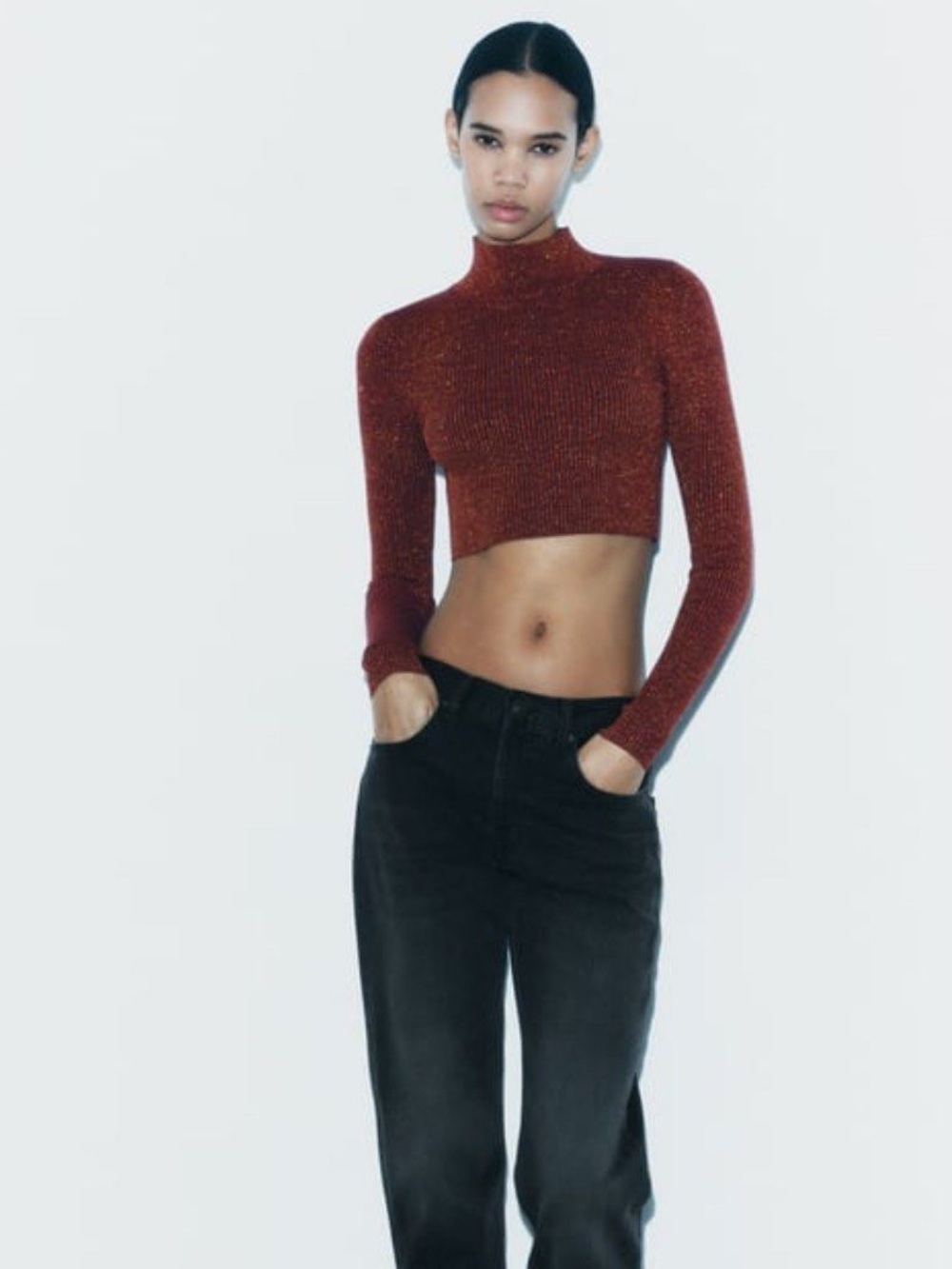 NWT Zara Metallic Cropped Turtleneck Top